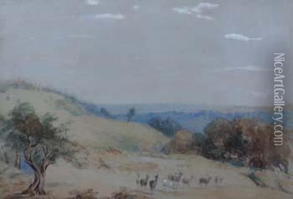 Deer At Richmond Park Oil Painting - James Duffield Harding