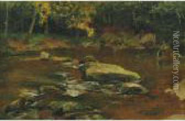 Where The Trout Run Oil Painting - Jervis McEntee