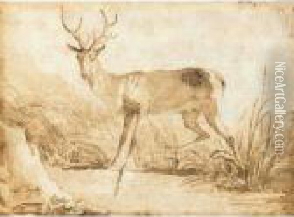 A Stag By A Riverbank Oil Painting - Giovanni Domenico Tiepolo
