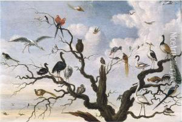 A Pheasant, A Peacock And Other Birds In A Tree Oil Painting - Jacob Bouttats