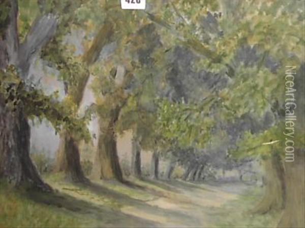 Avenue Of Trees Landscape Oil Painting - Mabel Hamar