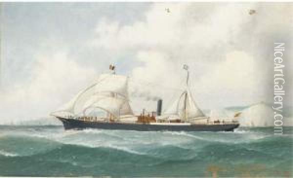 The Spanish Auxiliary Steamer Gravina Bound For A Belgianport Oil Painting - John Henry Mohrmann