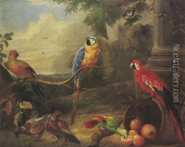 A Blue Parrot, A Scarlet Maccaw And Other Exotic Birds By A Classical Column In A Wooded Landscape Oil Painting - Jakob Bogdani