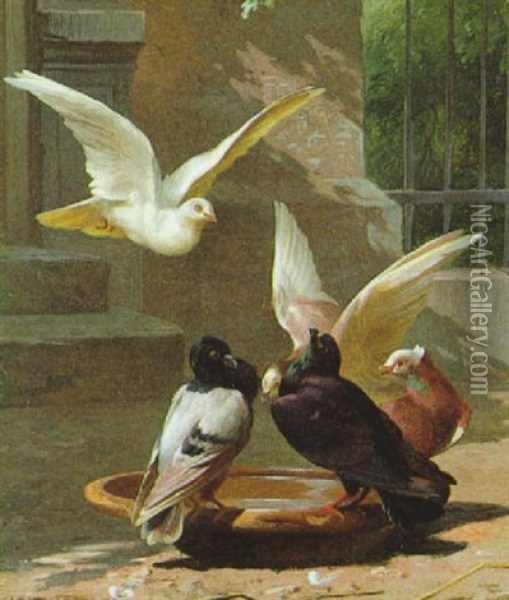 Tauben Oil Painting - Adolf Heinrich Mackeprang