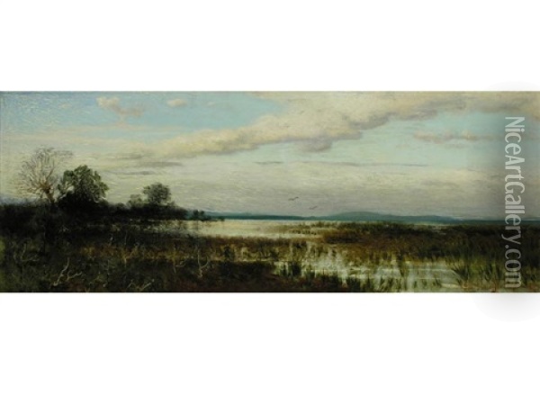 Ansicht Vom Chiemsee Oil Painting - August Schaefer von Wienwald