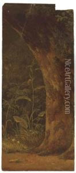 Une Chene Dans Un Sous-bois Oil Painting - Simon-Joseph-Alexandre-Clement Denis