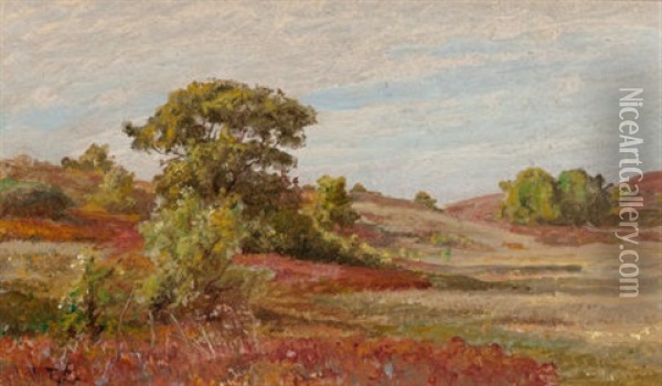 Huckleberry Bushes At Matunuck, Rhode Island Oil Painting - William Trost Richards