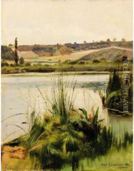 Reeds By The River Oil Painting - Josif Evstaf'Evic Krackovskij