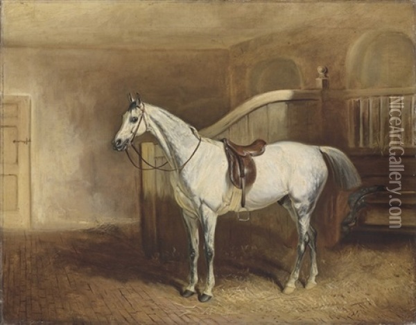 Lord Rancliffe's Grey Hunter, In A Loosebox Oil Painting - John E. Ferneley