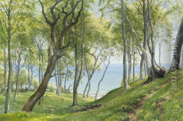 A Spring Day On The Forest Oil Painting - Johannes Boesen