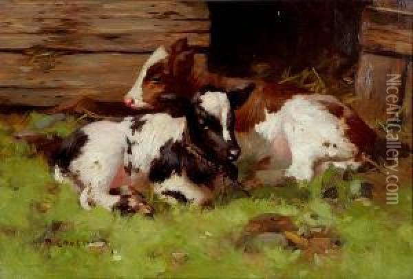 Calves Oil Painting - David Gauld