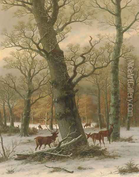 Deer in a Forest Oil Painting - Caesar Bimmermann
