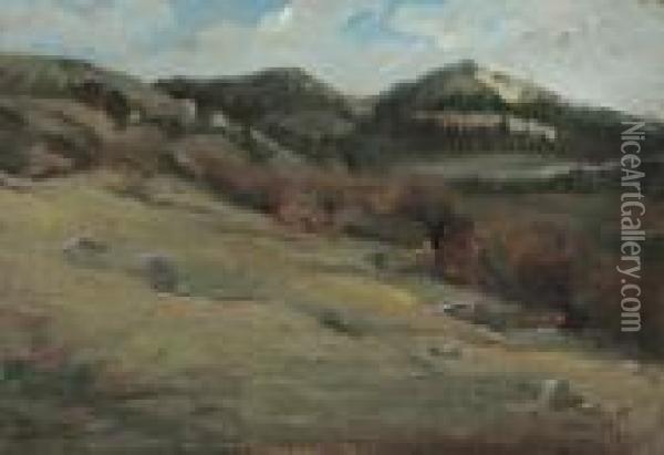 Paesaggio Montano Oil Painting - Guglielmo Ciardi