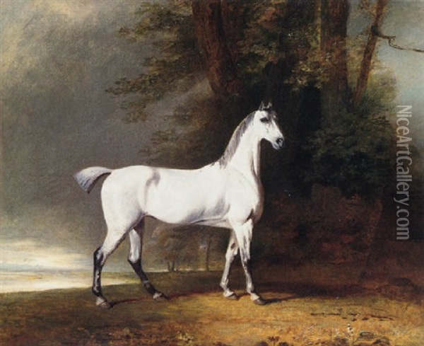 A Grey Hunter, The Property Of Lord Lonsdale, In A Landscape Oil Painting - Benjamin Marshall