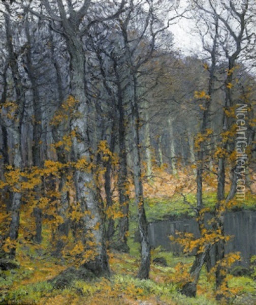 Herbstliche Waldlandschaft Am Abend Oil Painting - Carl Hessmert