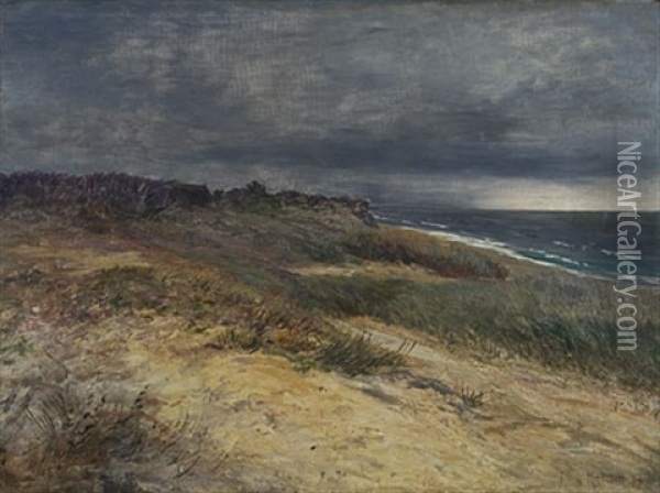 Dunen Bei Ahrenshoop Oil Painting - Marie von Keudell