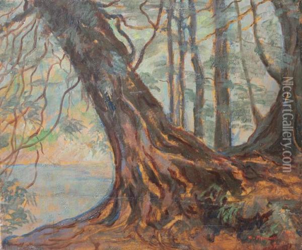 Drzewo Oil Painting - Czeslaw Mystkowski