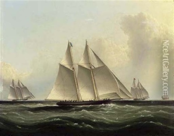 The Great Ocean Race, "henrietta", "fleetwing" And "vesta" Oil Painting - James Edward Buttersworth