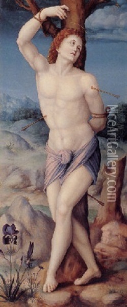 Saint Sebastian Oil Painting -  Bacchiacca