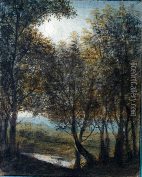 Moonlit Wooded Landscape Oil Painting - Anthonie Waterloo