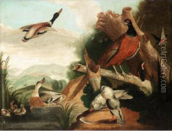 Still Life With Ducks, Kingfishers, Doves And A Pheasant In A River Landscape Oil Painting - Marmaduke Cradock
