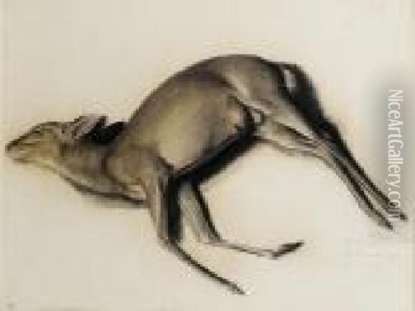 Study Of A Musk Deer Oil Painting - Alexander Evgenievich Yakovlev