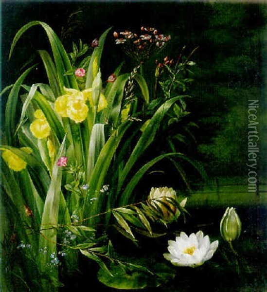 A Lily Pond Oil Painting - Hermania Sigvardine Neergard