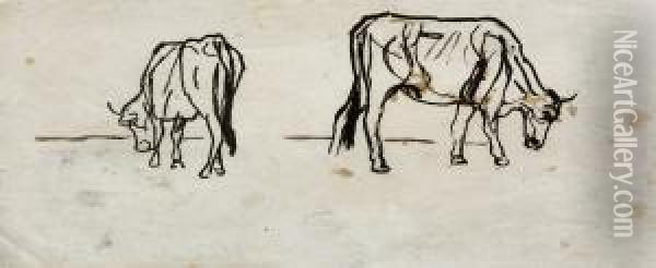 Vacas Faenando Oil Painting - Agustin Riancho Y Mora