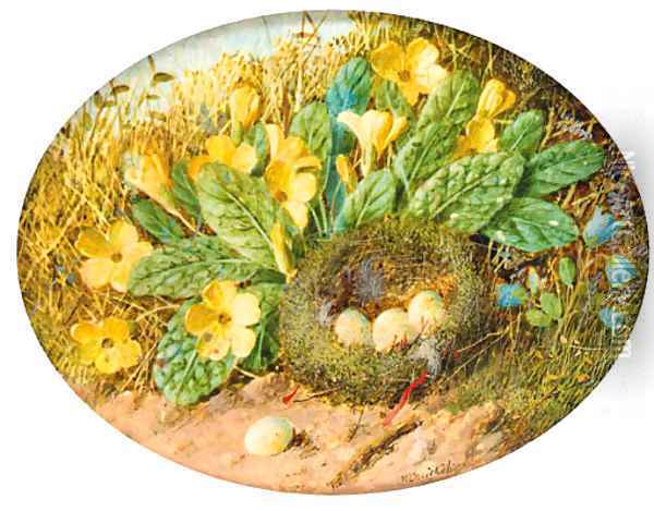 Primroses, hairbells and a bird's nest on a mossy bank Oil Painting - William Cruickshank
