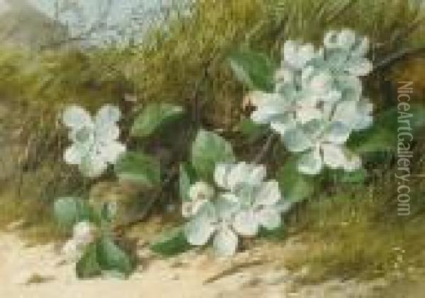 Blossom Oil Painting - William Cruickshank