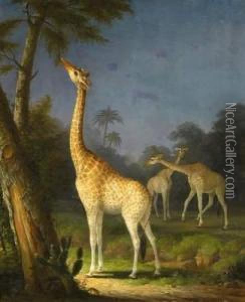 Three Giraffes Oil Painting - Richard Barrett Davis