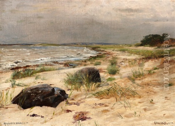 Der Strand Von Gohren Auf Rugen Oil Painting - Eugen Felix Prosper Bracht