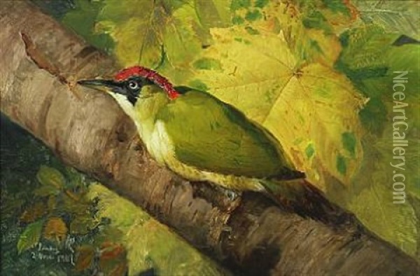 Green Woodpecker On A Branch Oil Painting - Niels Peter Rasmussen