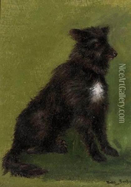 A Seated Dog Oil Painting - Rosa Bonheur