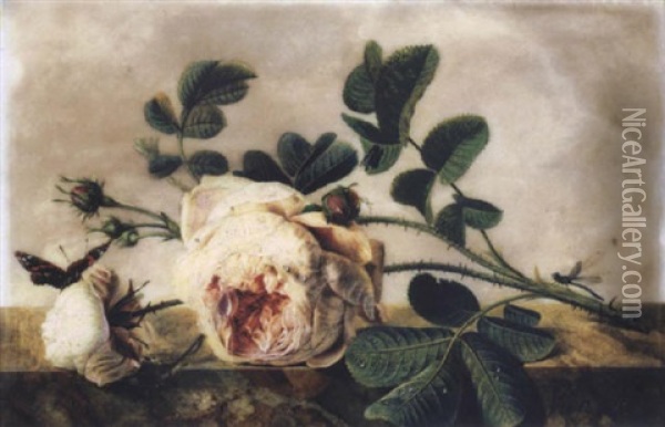 Branche De Roses Et Boutons Animee D'un Papillon, D'une Libellule Et D'une Mouche Oil Painting - Christiaen van Pol