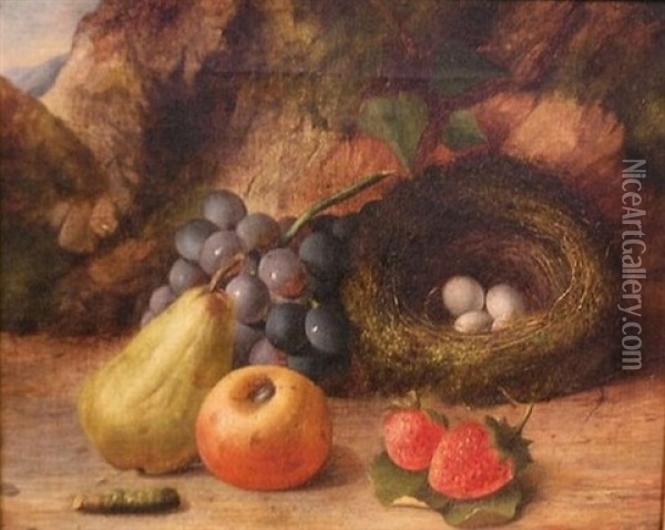 Still Life With Fruit And Bird's Nest Oil Painting - Oliver Clare