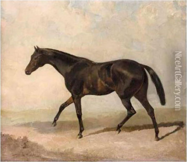 Black Horse Trotting Oil Painting - James Lynwood Palmer