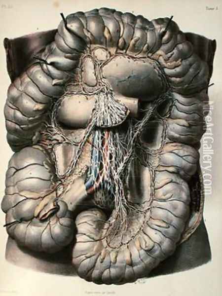The nerves of the large intestine Oil Painting - Leveille
