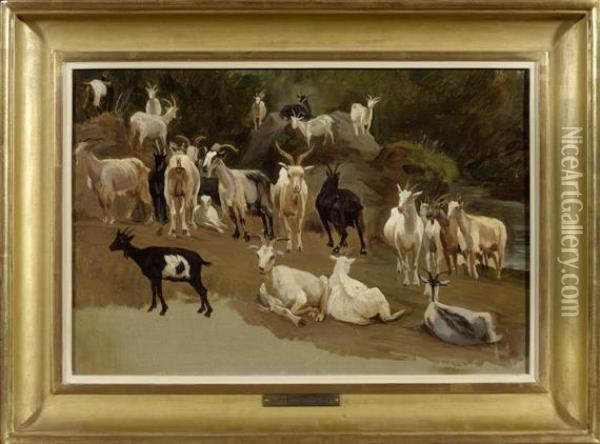 Study For Goats Oil Painting - Jacques Alfred Van Muyden
