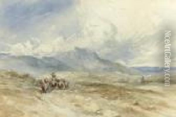 Cattle And A Drover In A Mountainous Landscape, North Wales Oil Painting - David I Cox