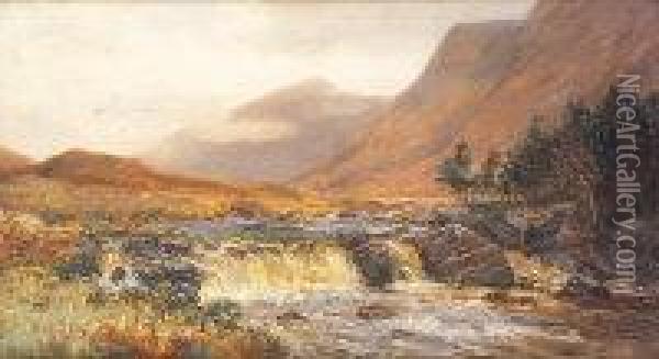 Asleagh Waterfall, Killary Bay, Connemara Oil Painting - Alexander Williams