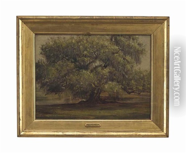 Live Oak, New Orleans Oil Painting - Enoch Wood Perry