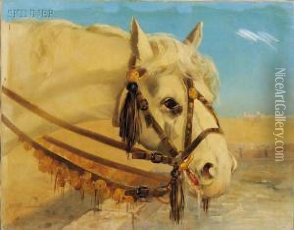 The Arabian Mount Oil Painting - Clarence E. Braley