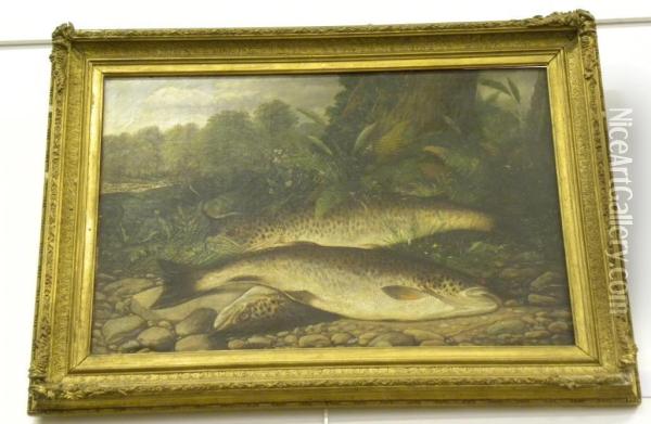Salmon On A Riverbank Oil Painting - Henry Leonidas Rolfe