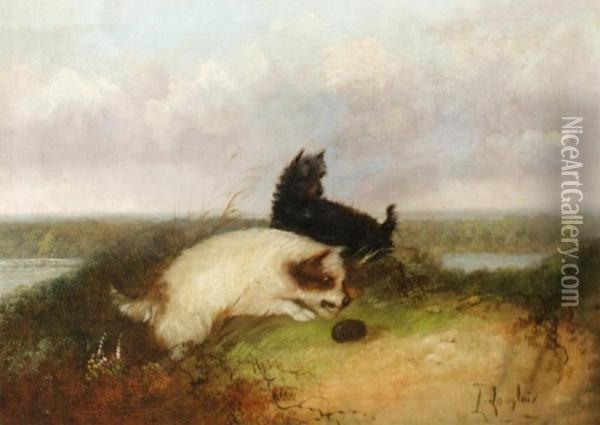 Terriers Et Herisson Oil Painting - J. Langlois