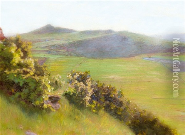 View To The Valley Oil Painting - Hugo Poll
