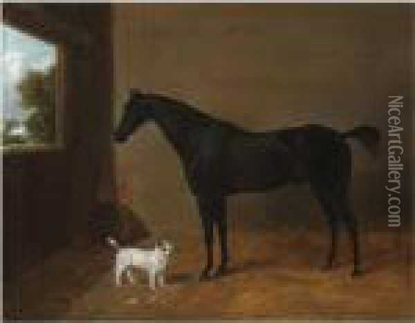 A Dark Bay Horse In A Stable Oil Painting - Richard Ansdell