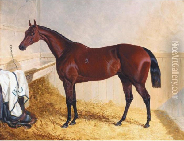 Mr William Orde's Bay Filly Bees-wing In A Loose Box Oil Painting - John Frederick Herring Snr