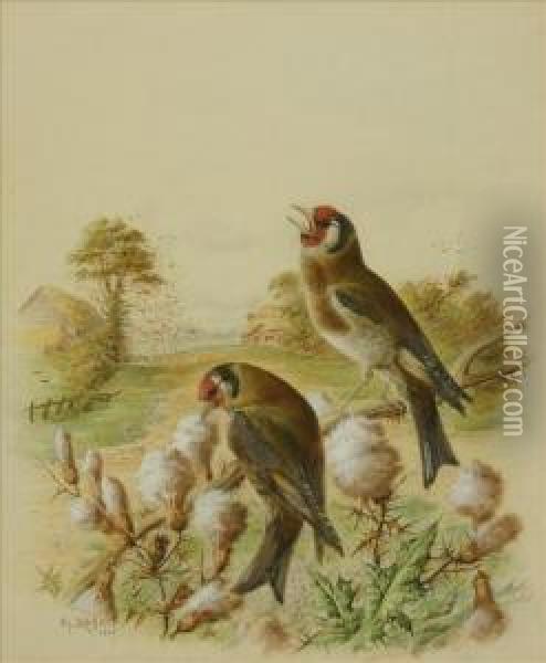 A Pair Of Goldfinchesin A Landscape Oil Painting - Harry Bright