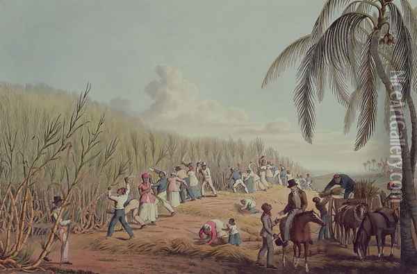 Slaves Fell the Ripe Sugar, Antigua, 1823 Oil Painting - William Clark